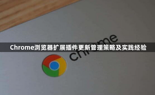 Chrome浏览器扩展插件更新管理策略及实践经验1