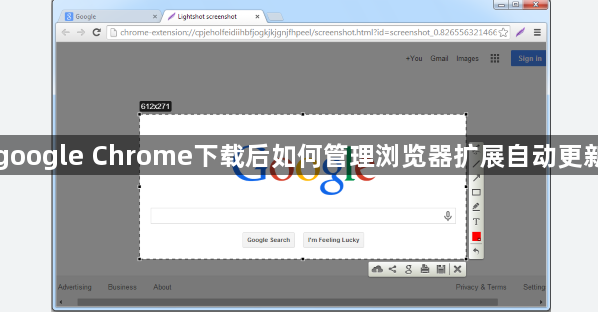 google Chrome下载后如何管理浏览器扩展自动更新1