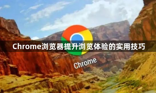 Chrome浏览器提升浏览体验的实用技巧1