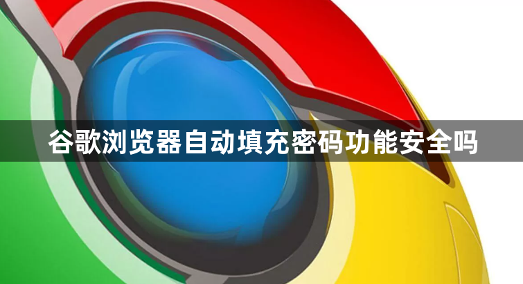 谷歌浏览器自动填充密码功能安全吗1