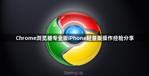 Chrome浏览器专业版iPhone轻量版操作经验分享1