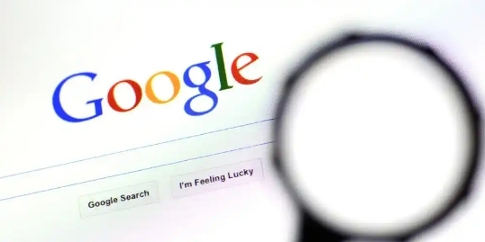 Chrome浏览器下载完成后功能配置操作教程