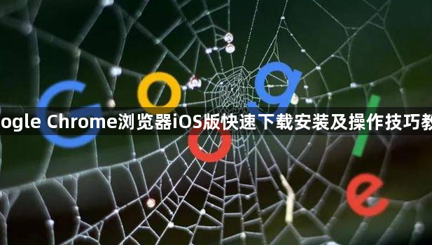 google Chrome浏览器iOS版快速下载安装及操作技巧教程1