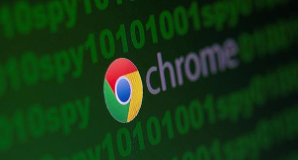 google Chrome浏览器下载与版本切换技巧