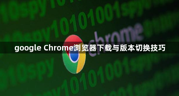google Chrome浏览器下载与版本切换技巧1