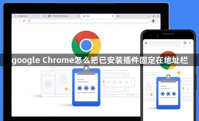 google Chrome怎么把已安装插件固定在地址栏1