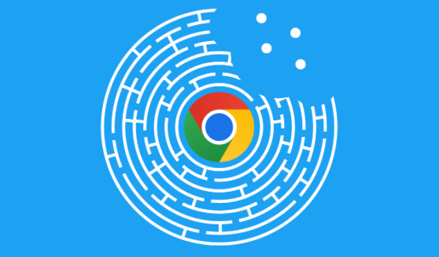 Chrome浏览器打开国外网站速度很慢怎么修改解析教程