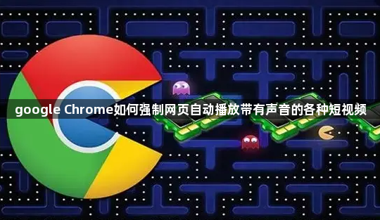 google Chrome如何强制网页自动播放带有声音的各种短视频1