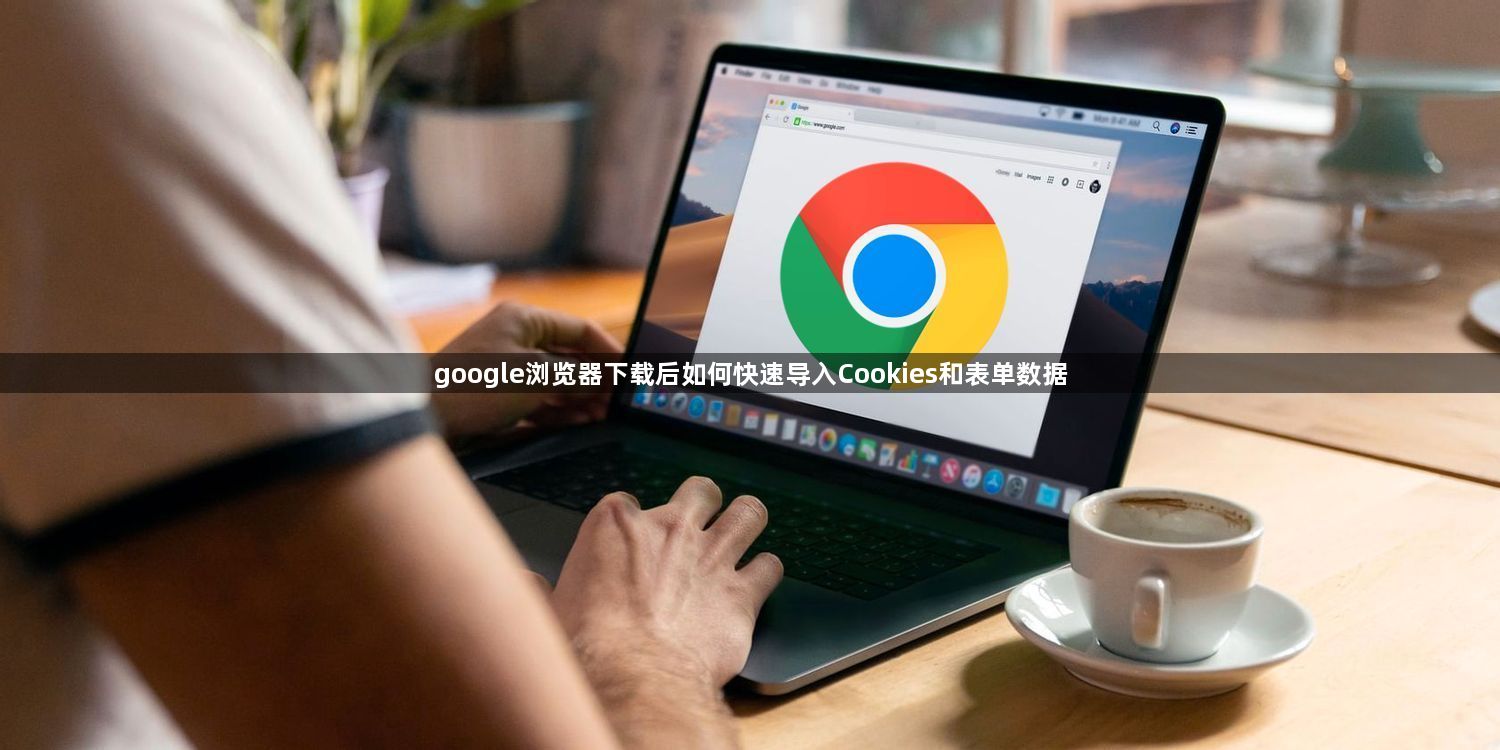 google浏览器下载后如何快速导入Cookies和表单数据1